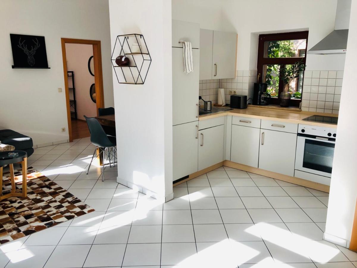 Ferienwohnungen Mit Terrasse In Zwingernaehe - Hilger Rentals Dresden Luaran gambar