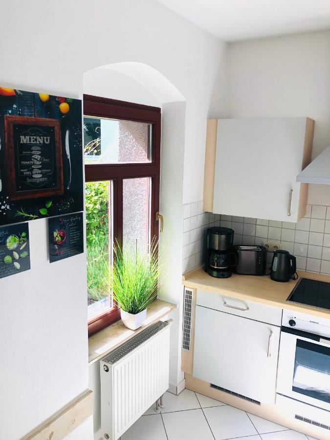 Ferienwohnungen Mit Terrasse In Zwingernaehe - Hilger Rentals Dresden Luaran gambar